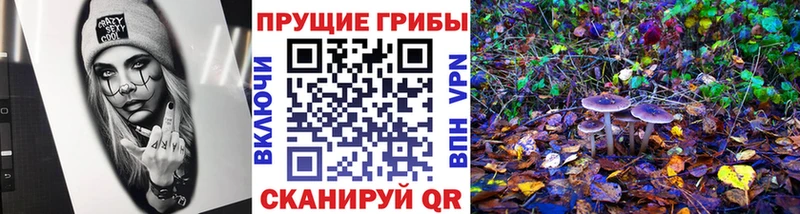 хочу Юрьевец Псилоцибиновые грибы MAGIC MUSHROOMS