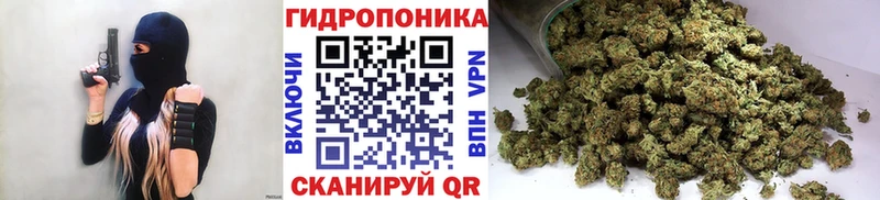 где можно купить   Юрьевец  Бошки марихуана сатива 